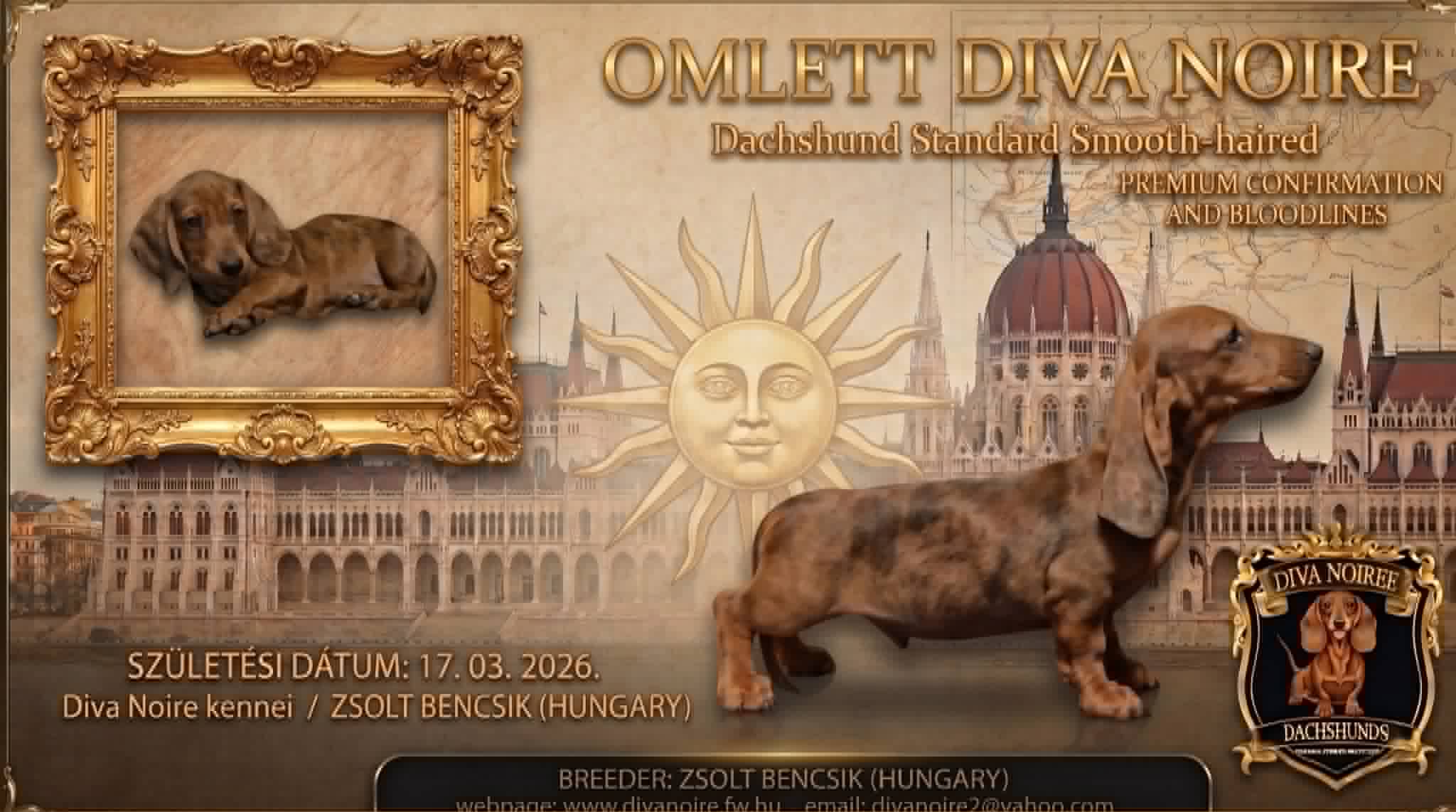 Omlett