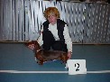 Nudli Diva Noire Hollandi�ban R.CAC, R.CACIB, t: Erika deGroot