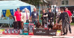 Temesv�r CACIB: Teny�szt�si nagyd�j 2