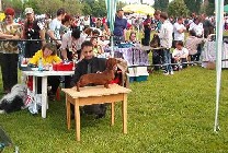 Temesv�r CACIB, Dana b�r�lata (CAC, CACIB)