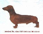 Ch Gold Diva Noire