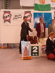 H�dmez�v�s�rhely 




























CAC: Teny�szcsoport 2