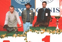 Arad CACIB: Lucky RPJ, BOB, BOG, R.JBIS