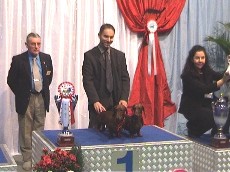 Luxembourg breeder couple I. (from 33)
