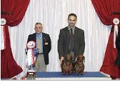 Luxembourg breeder couple I. (from 33)