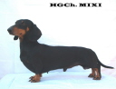 Ch Mixi