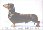 Ch  














Mixi