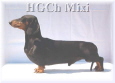 Ch  Mixi