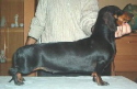 Olgi  Diva noire