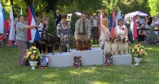 P�pa cacib, Breeding group 1.